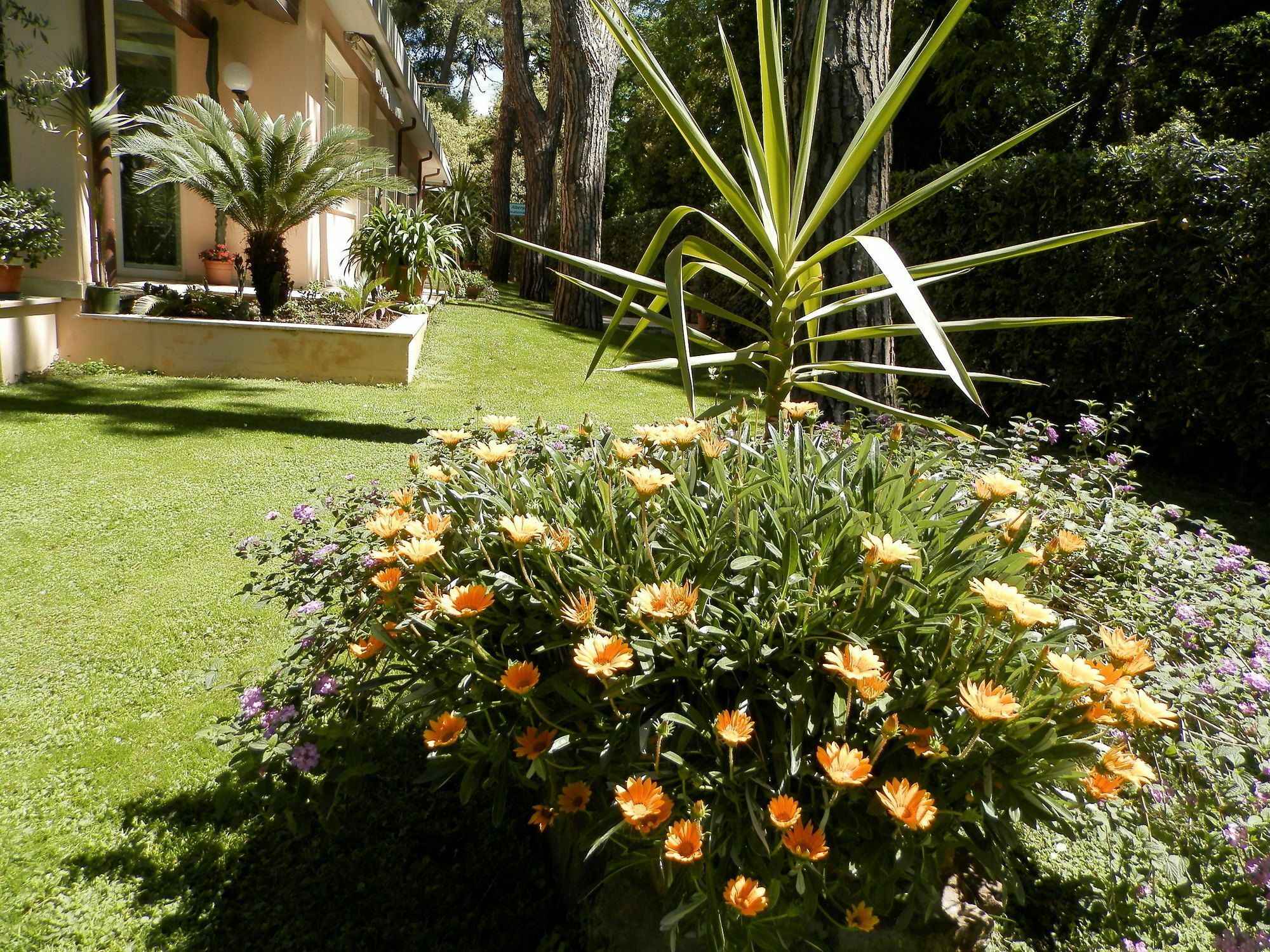Hotel Mediterraneo Marina di Pietrasanta Luaran gambar